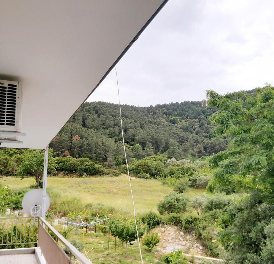Apartment Odysseas *